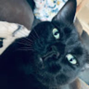 Meet your Posher, Heidi